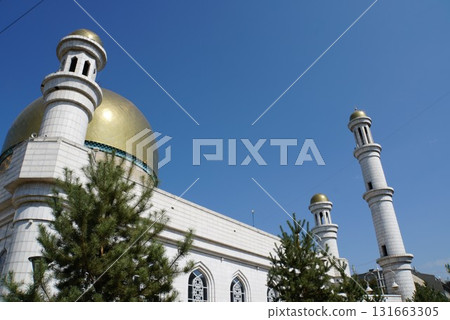 Almaty Central Mosque, Kazakhstan Almaty Central Mosque, Kazakhstan 131663305