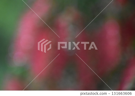 紅色畫筆花朵模糊背景素材 紅色畫筆花朵模糊背景素材 131663606