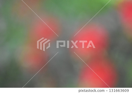 紅色畫筆花朵模糊背景素材 紅色畫筆花朵模糊背景素材 131663609
