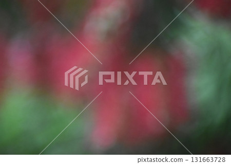 紅色畫筆花朵模糊背景素材 131663728