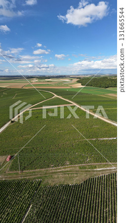 Trois-Puits, Reims, Marne, Grand-Est, France, August, 28th, 2025, Champagne Area, Stunning Aerial 131665544