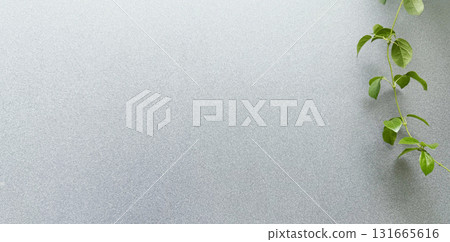 Green leaves on ground glass texture background with copy space Green leaves on ground glass texture background with copy space 131665616