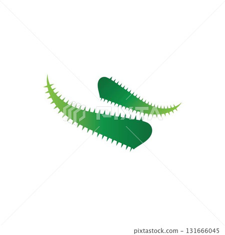 Aloe vera logo vector ilustration template Aloe vera logo vector ilustration template 131666045