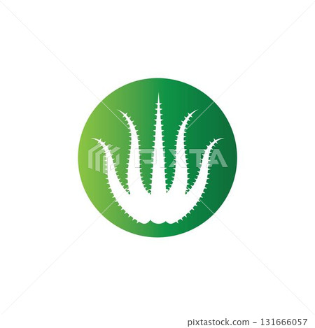 Aloe vera logo vector ilustration template 131666057
