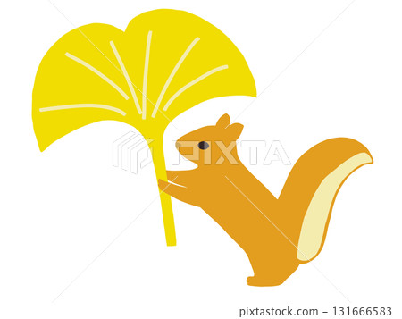 一隻松鼠叼著掉落的銀杏葉 131666583