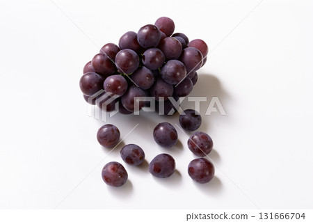 先鋒葡萄脫粒 131666704