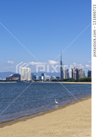 Fukuoka City Marina Town Seaside Park and Seaside Momochi Fukuoka City Marina Town Seaside Park and Seaside Momochi 131666713