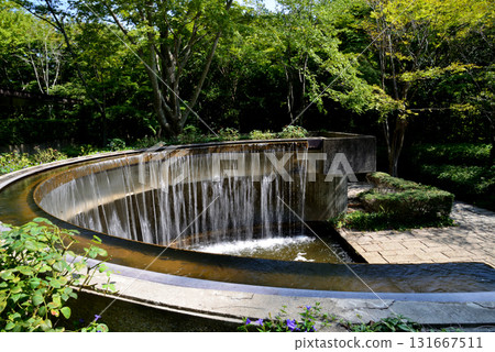 Mito Botanical Garden 2025-8-31 #15 131667511