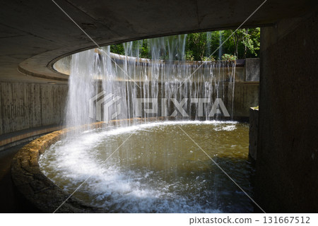 Mito Botanical Garden 2025-8-31 #16 131667512