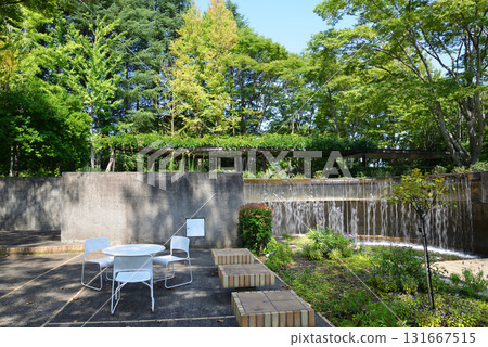 水戶植物園 2025-8-31 #19 131667515