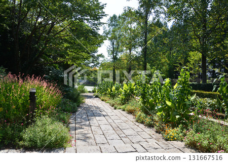 水戶植物園 2025-8-31 #20 131667516