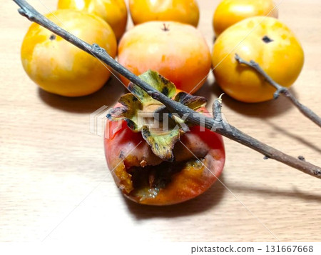 Bird damage: Home-grown Fuyu persimmons eaten by birds Bird damage: Home-grown Fuyu persimmons eaten by birds 131667668
