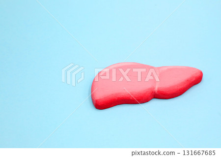 肝臟影像 肝臟影像 131667685