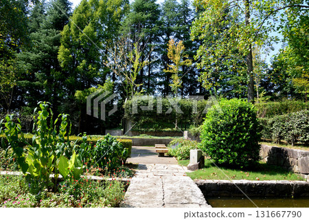 Mito Botanical Garden 2025-8-31 #22 131667790