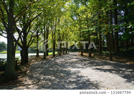 Mito Botanical Garden 2025-8-31 #26 131667794