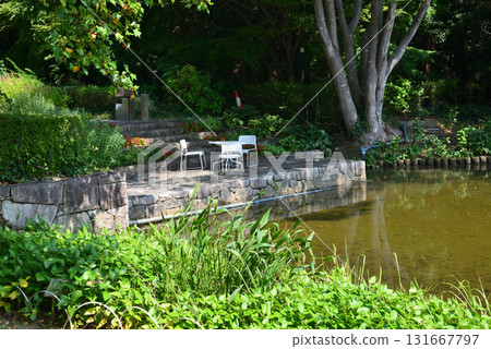 Mito Botanical Garden 2025-8-31 #29 131667797