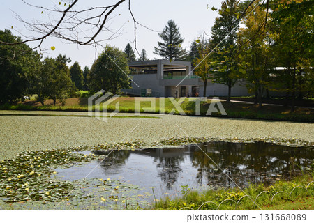 Mito Botanical Garden 2025-8-31 #31 131668089