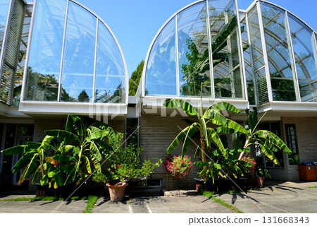 Mito Botanical Garden 2025-8-31 #47 131668343