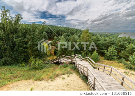 Curonian Spit National Park. Zelenogradsk, Kaliningrad Oblast, Russia. 131668515