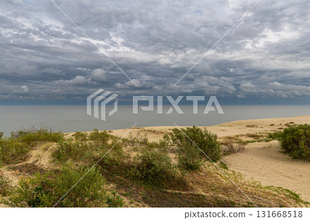 Curonian Spit National Park. Zelenogradsk, Kaliningrad Oblast, Russia. 131668518