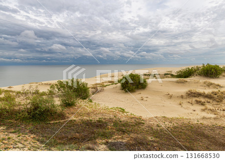 Curonian Spit National Park. Zelenogradsk, Kaliningrad Oblast, Russia. Curonian Spit National Park. Zelenogradsk, Kaliningrad Oblast, Russia. 131668530