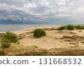 Curonian Spit National Park. Zelenogradsk, Kaliningrad Oblast, Russia. 131668532