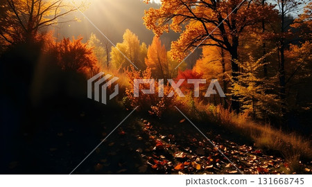 Golden Autumn Sunlight Through Orange Leaves in Serene Park Scene for a Warm Peaceful Mood. 131668745