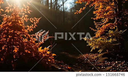 Golden Autumn Sunlight Through Orange Leaves in Serene Park Scene for a Warm Peaceful Mood. 131668746