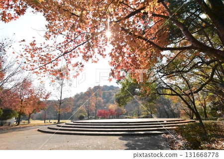 Autumn in Takaragaike Park Autumn in Takaragaike Park 131668778
