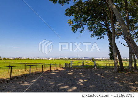 [北海道札幌市]羊之丘展望台 131668795