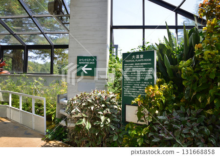 Mito Botanical Garden 2025-8-31 #53 131668858