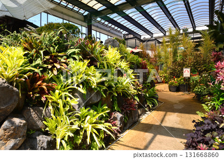 Mito Botanical Garden 2025-8-31 #55 131668860