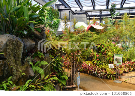 Mito Botanical Garden 2025-8-31 #60 131668865