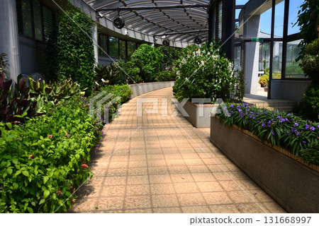 Mito Botanical Garden 2025-8-31 #68 131668997