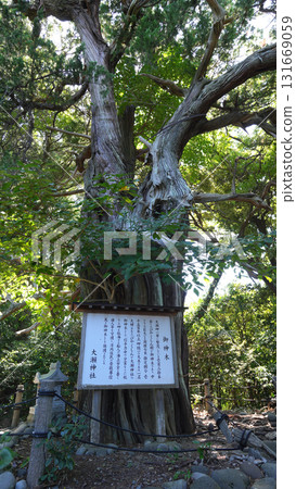 大瀨崎的Jyakushin森林 131669059