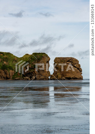 Massive coastal cliffs with green vegetation and reflections 131669143