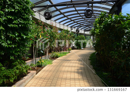 水戶植物園 2025-8-31 #71 水戶植物園 2025-8-31 #71 131669167
