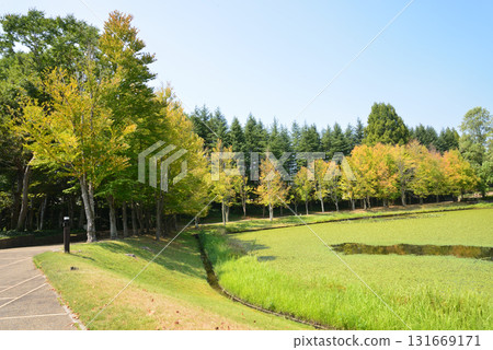 Mito Botanical Garden 2025-8-31 #75 131669171