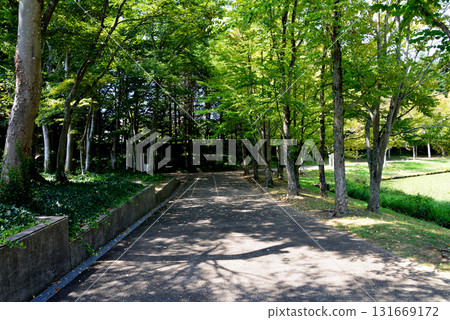 Mito Botanical Garden 2025-8-31 #76 131669172