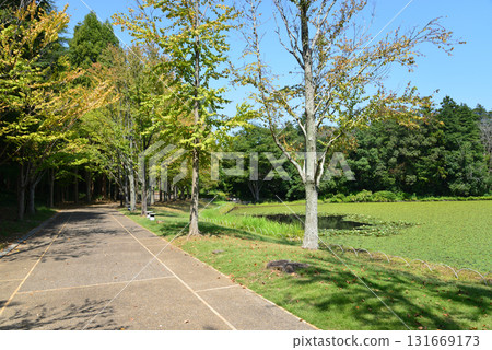 Mito Botanical Garden 2025-8-31 #77 131669173