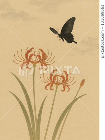 紅蜘蛛百合和黑燕尾蝶 131669663