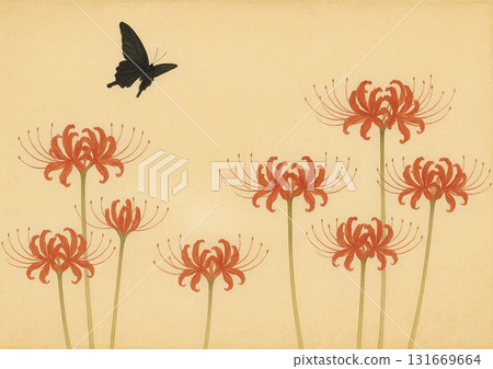 紅蜘蛛百合和黑燕尾蝶 131669664
