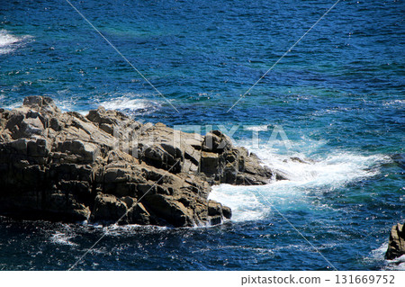 Waves to beat on the reef 131669752