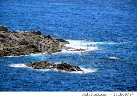 Waves to beat on the reef 131669754