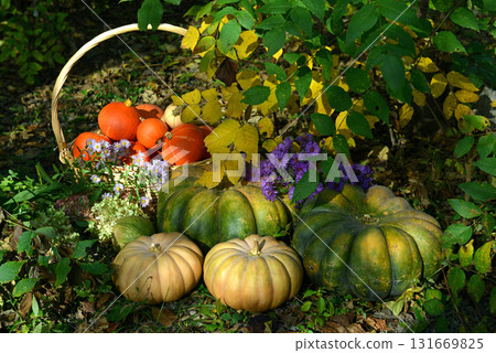 Vintage still life with pumpkins, flowers and decorations outside, thanksgiving day background, autumn calendar season concept Vintage still life with pumpkins, flowers and decorations outside, thanksgiving day background, autumn calendar season concept 131669825