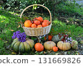 Vintage still life with pumpkins in the basket, flowers and decorations outside, thanksgiving day background, autumn calendar season concept Vintage still life with pumpkins in the basket, flowers and decorations outside, thanksgiving day background, autumn calendar season concept 131669826