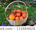 Vintage still life with pumpkins in the basket, flowers and decorations outside, thanksgiving day background, autumn calendar season concept Vintage still life with pumpkins in the basket, flowers and decorations outside, thanksgiving day background, autumn calendar season concept 131669828