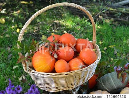 Vintage still life with pumpkins in the basket, flowers and decorations outside, thanksgiving day background, autumn calendar season concept Vintage still life with pumpkins in the basket, flowers and decorations outside, thanksgiving day background, autumn calendar season concept 131669828