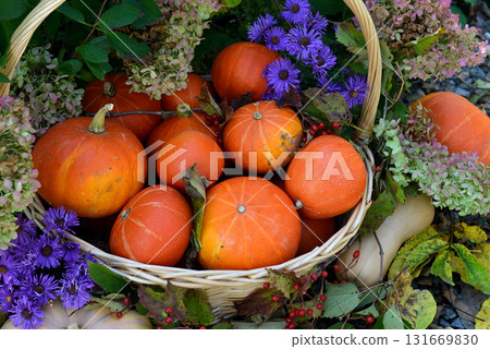 Vintage still life with pumpkins in the basket, flowers and decorations outside, thanksgiving day background, autumn calendar season concept 131669830