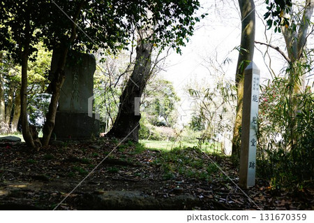 Nomido Green Space, Nomido Ruins 131670359